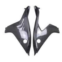 Paire de flancs de carenage carbone bmw m1000rr 2023-