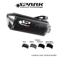 Echappement spark ducati monster 1200 2014-2015 silencieux force carbone catalyseur homologue