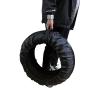 Sac à roue