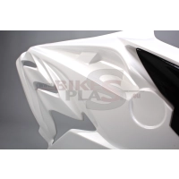 Tête de fourche poly bikeplast bmw s1000rr 2015-2018 avec réducteur de bulle