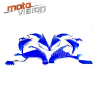 Kit de carénage en abs peint pour yamaha r1 04-06