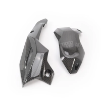 Paire avant flancs de carénage carbone kawasaki z900 2020-