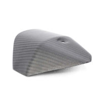 Protection de ligne carbone mat yamaha mt10 2016-2019