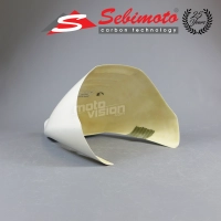 Partie arriere coque monoposto piste sebimoto aprilia rsv mille 2001-2003