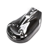 Protection de ligne carbone vernis pour ducati panigale 959