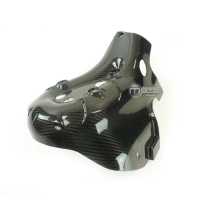 Protection de ligne carbone vernie ducati 1199 panigale 2013