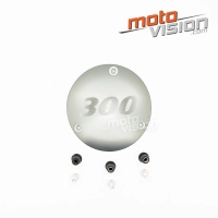 Cache protection moteur vespa