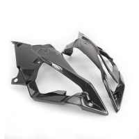 Flancs de carénage carbone pour bmw s1000r 2017-2020