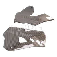 Sabot en 2 parties carbone bmw s1000xr 2020- 2023