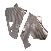 Sabot en 2 parties carbone bmw s1000xr 2020- 2023