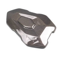 Capot de selle carbone bmw s1000r 2021- m1000r 2023-