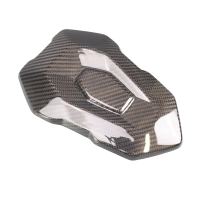 Capot de selle carbone bmw s1000r 2021- m1000r 2023-