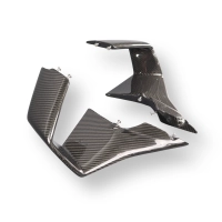 Paire d'ailerons carbone pour bmw m1000rr 2023-