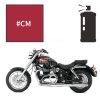 Peinture en spray triumph tornado bonneville t100 2006-2008