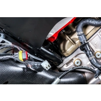 Bâti db holders pour ducati v4 2018 - / v4r 2019 - noir