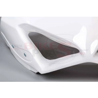 Tête de fourche poly bikeplast ducati v4 r 2019 - 2020 grosse entrée d'air