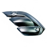 Protection de ligne carbone mat mv agusta brutale 800