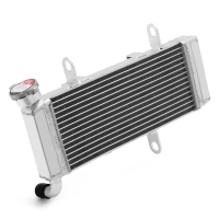 Radiateur aluminium pour kawasaki ninja 125/z 125 2019-