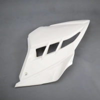 Flanc gauche poly sebimoto kawasaki ninja 300 2015-