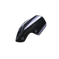 Protection d'échappement carbone bmw s1000r 2021- m1000r 2023-