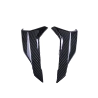 Flanc de coque arrière carbone bmw s1000r 2021- m1000r 2023-